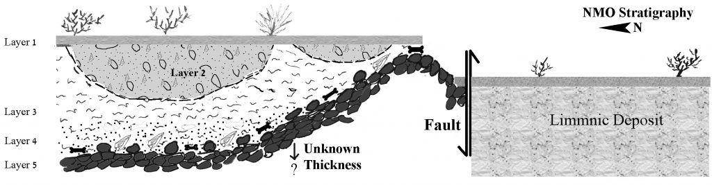 NMO stratigraphy