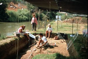 GBY Area C 1996