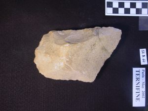 Ternifine